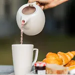 Novotel Geneve Aeroport France Hotel Ferney-Voltaire